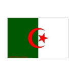 Algeria Flag 5' x 3'