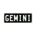 Gemini Novelty Number Plate